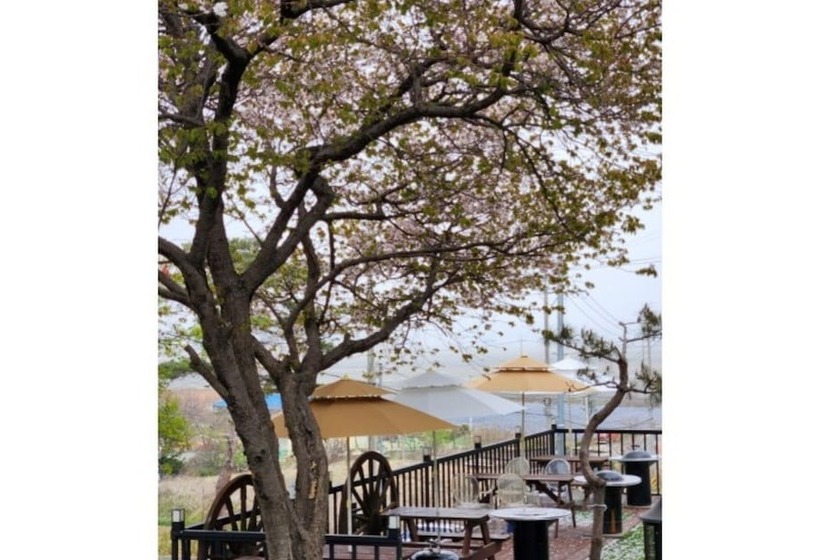 Отель Ganghwado Under The Sky Pension