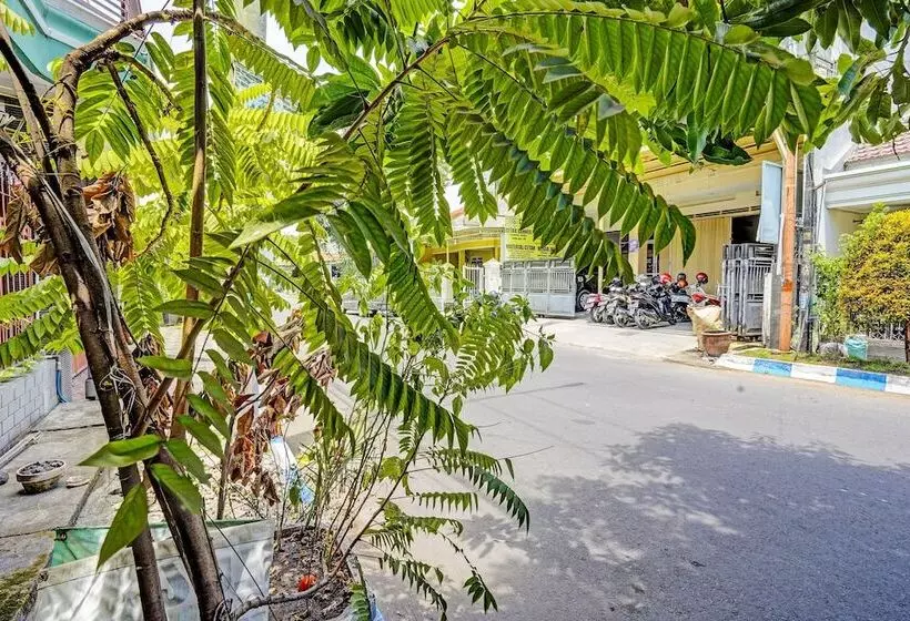 Hotelli Spot On 91716 Kost Yy Syariah