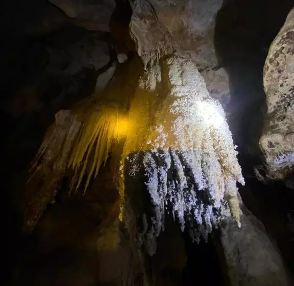 Khaosok Las Orquideas Resort