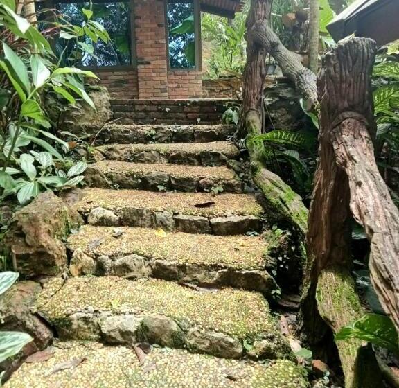 Khaosok Las Orquideas Resort