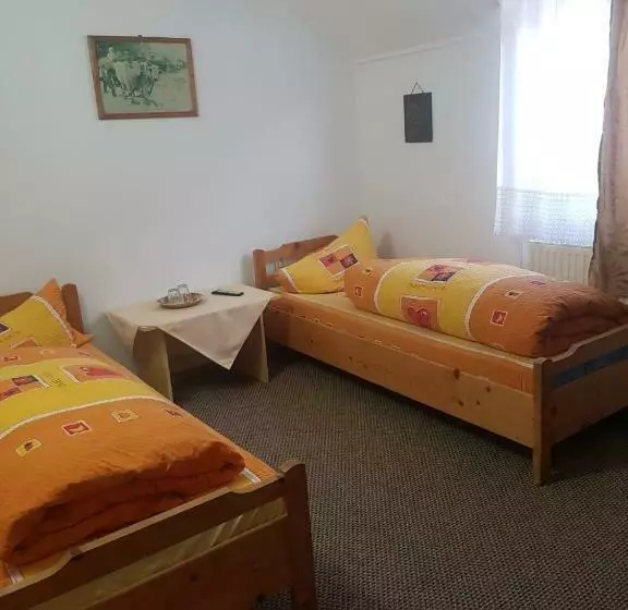 Pensiunea Casa Munteanu Râșnov