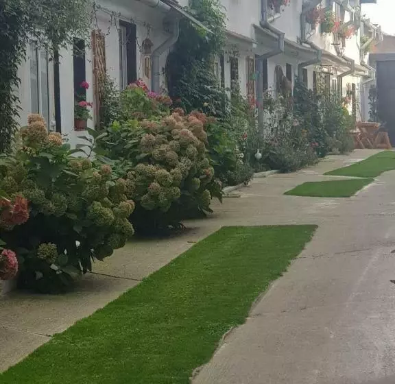 Pensiunea Casa Munteanu Râșnov