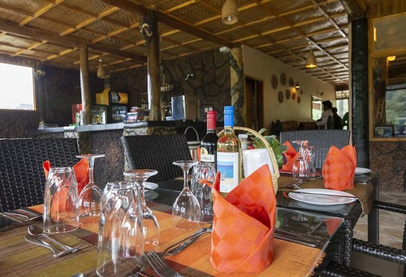 هتل Rushaga Gorilla Lodge