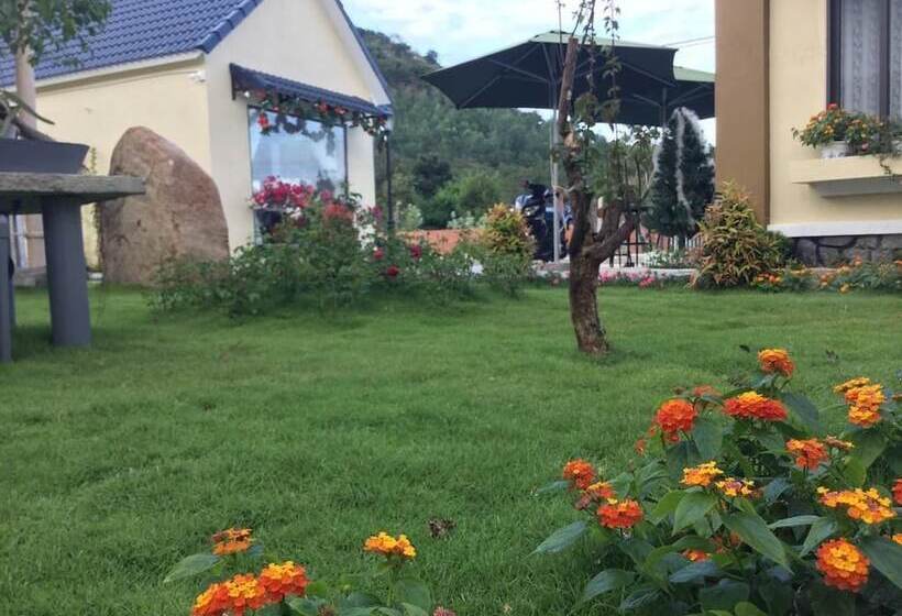 هتل Aloha Binh Tien