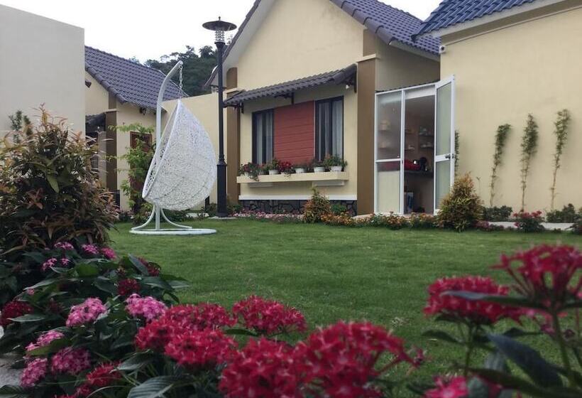 هتل Aloha Binh Tien