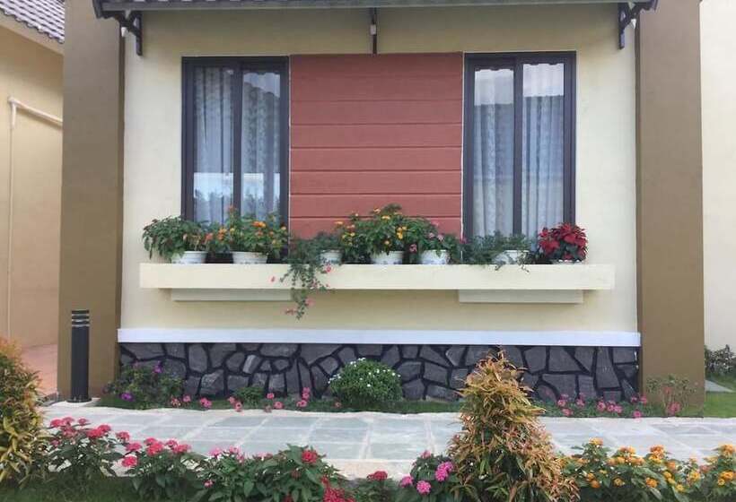 هتل Aloha Binh Tien