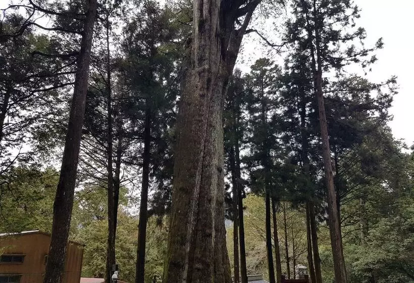 هتل Ming Yang B&b