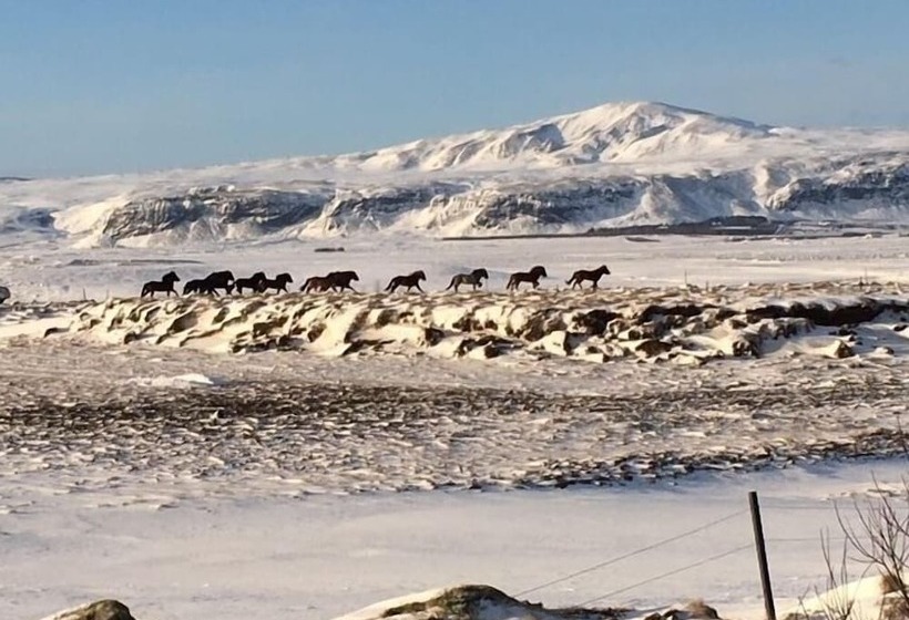 ホテル Stryta Guesthouse