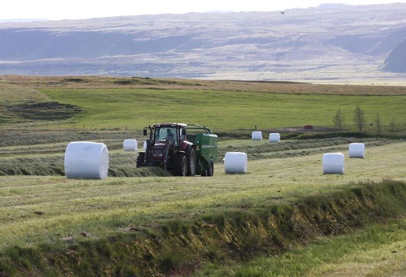 ホテル Stryta Guesthouse