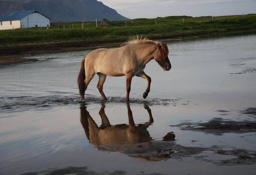 ホテル Stryta Guesthouse