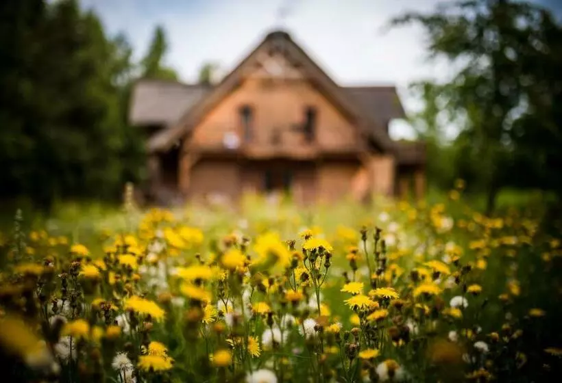Aamiaismajoitus (B&B) Brzozowy Gaj