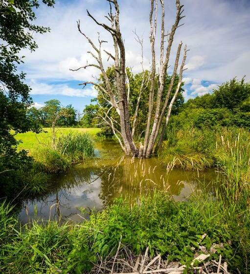 住宿加早餐  Brzozowy Gaj