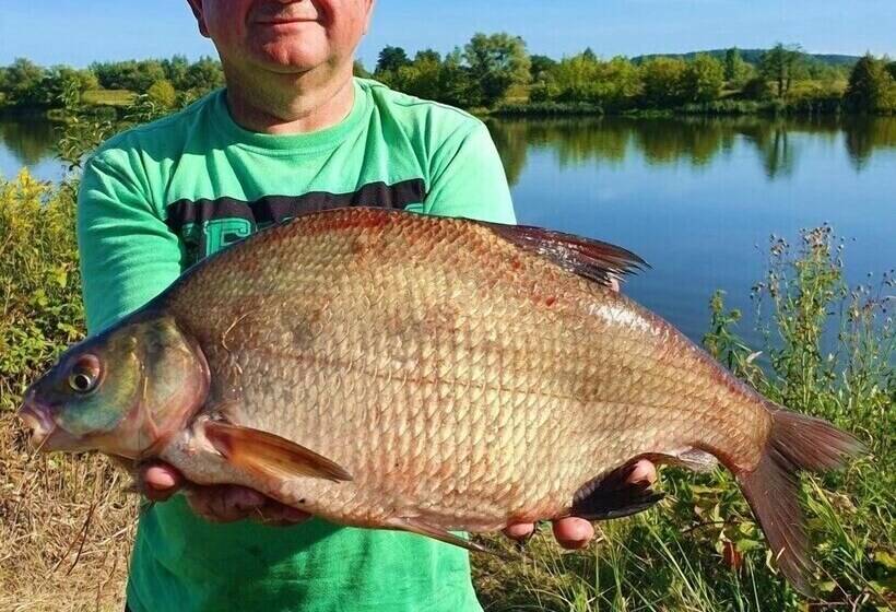 Aamiaismajoitus (B&B) Pokoje W Starej Karczmie