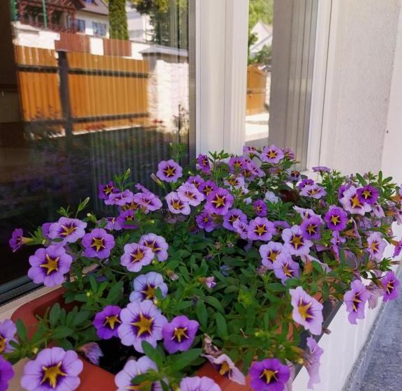 צימר Biały Dom Kazimierski