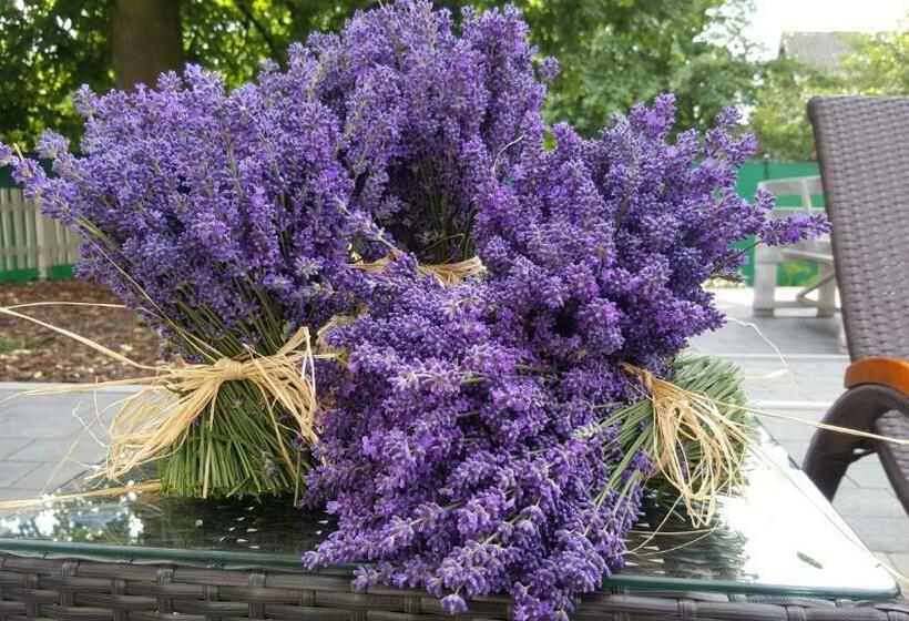 צימר Dom Pod Lawendowym Polem