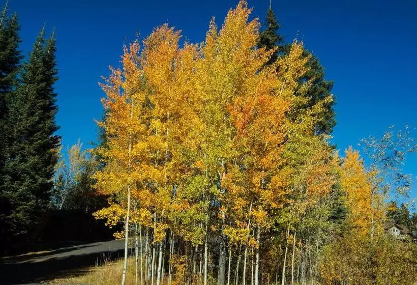 ホテル Aspen Village Golf Course Condo  Snowshoes