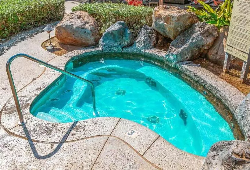 ホテル Honua Kai Hokulani 110 2 Bed 2 Bath Apartment In Honua Kai Resort
