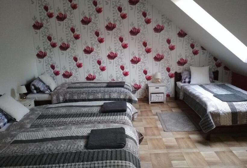 호텔 Koci Grzbiet Agroturystyka