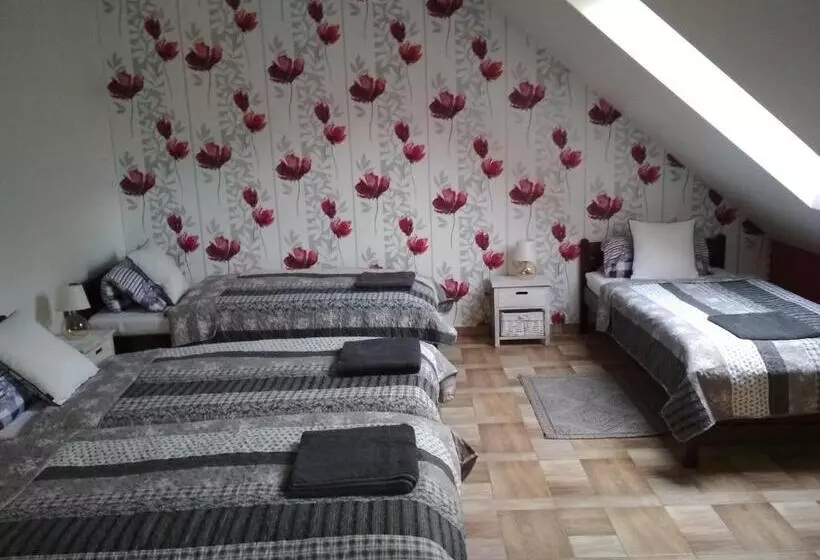 ホテル Koci Grzbiet Agroturystyka