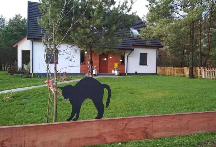 ホテル Koci Grzbiet Agroturystyka