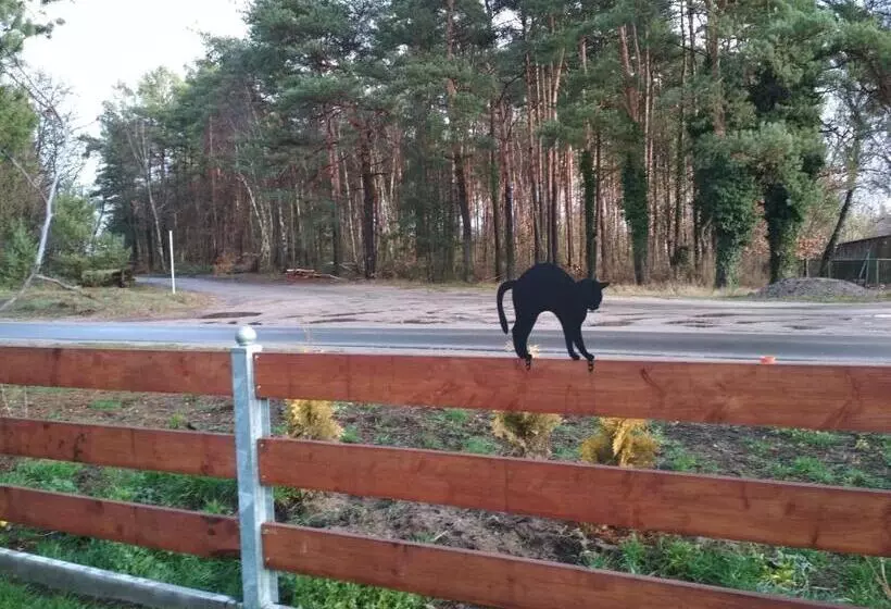 ホテル Koci Grzbiet Agroturystyka