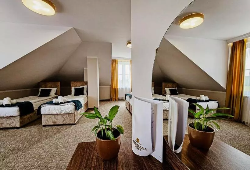 Hotelli Pensjonat Miedziana Perła Lubin