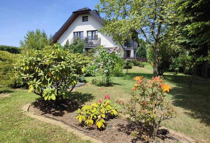 فندق Willa Orle Gniazdo