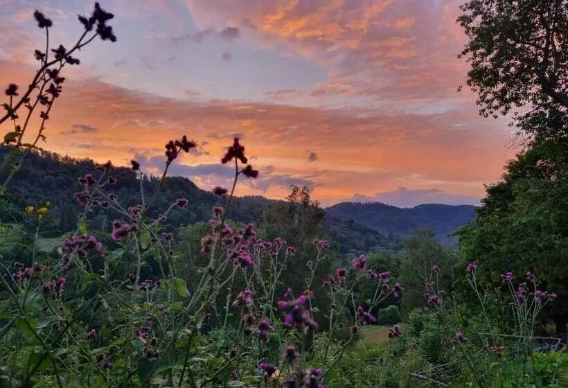 Retkeilymaja Bacówka Pttk Jaworzec