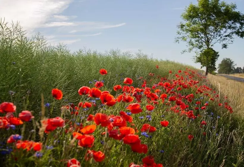 Retkeilymaja Stary Młyn Strzeszyn   Soft All Inclusive