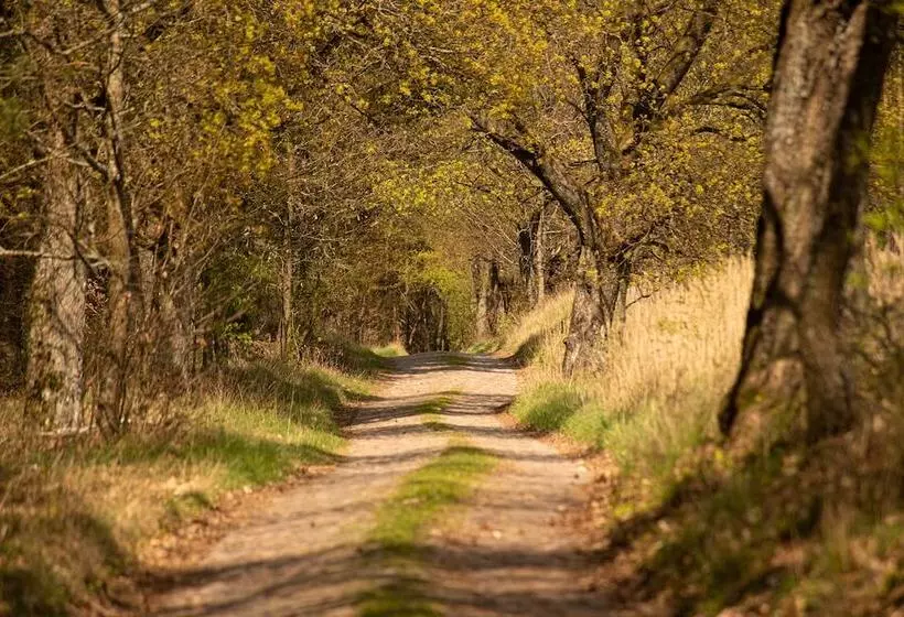 Retkeilymaja Stary Młyn Strzeszyn   Soft All Inclusive