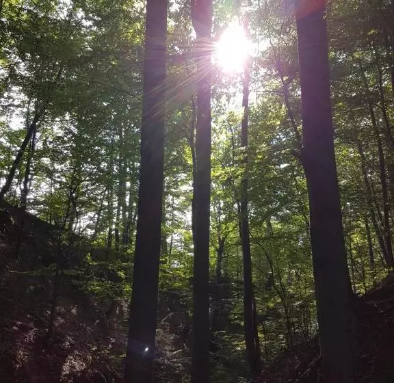 Lomakeskus Gościniec Groblice