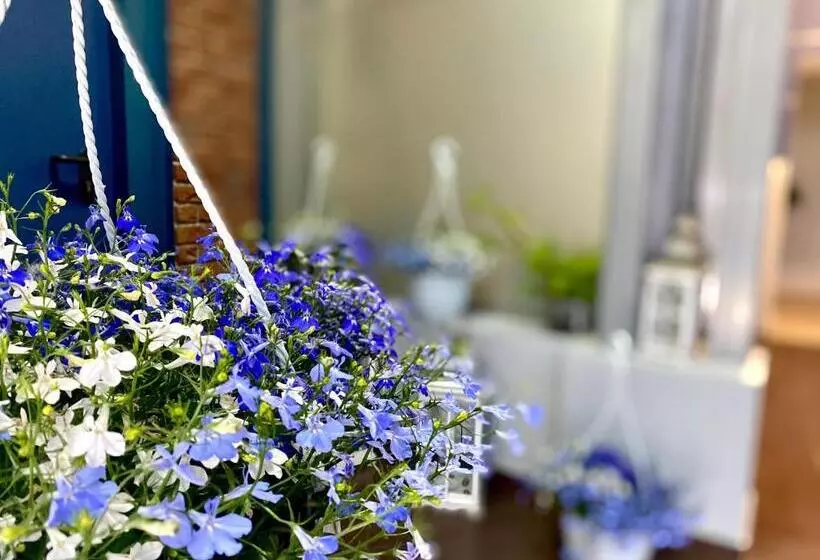 Apartamenty I Pokoje „pod Jedynką”