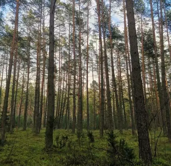Aamiaismajoitus (B&B) Pensjonat Zakątek