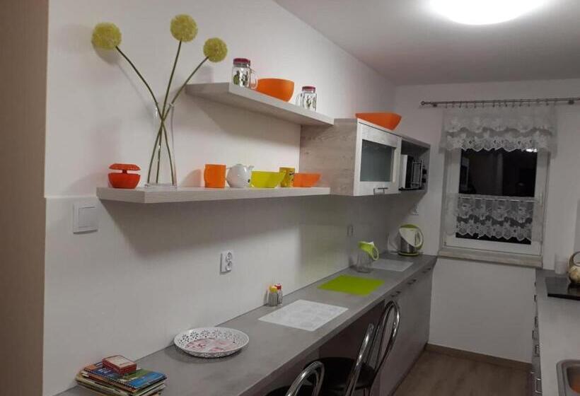 酒店 Agroturystyka Stokrotka