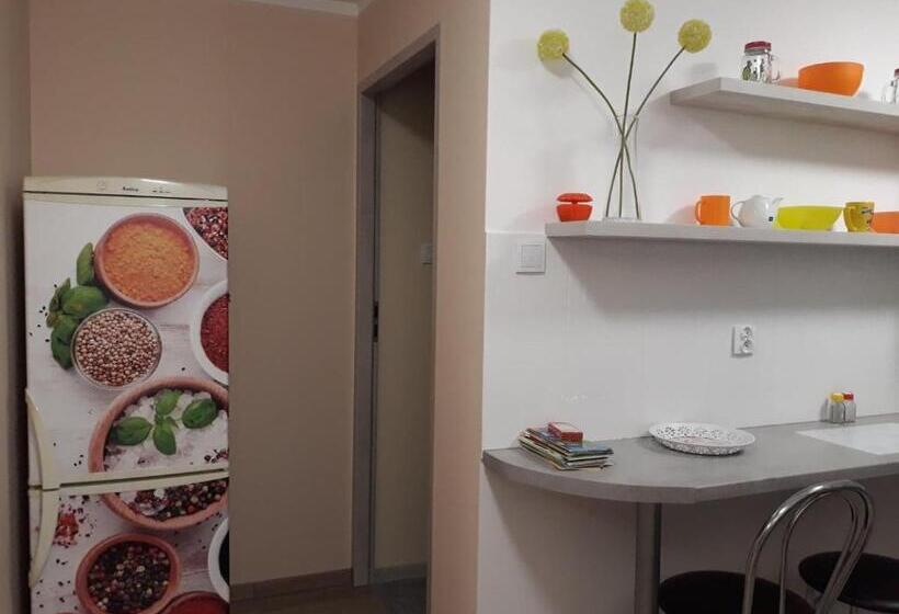 酒店 Agroturystyka Stokrotka