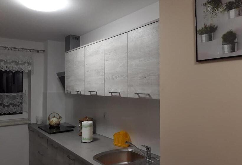 酒店 Agroturystyka Stokrotka