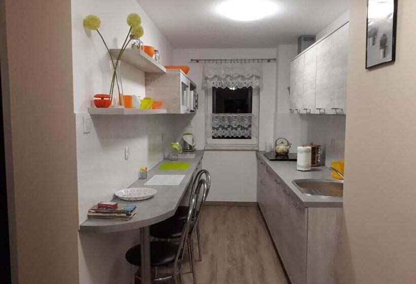 酒店 Agroturystyka Stokrotka