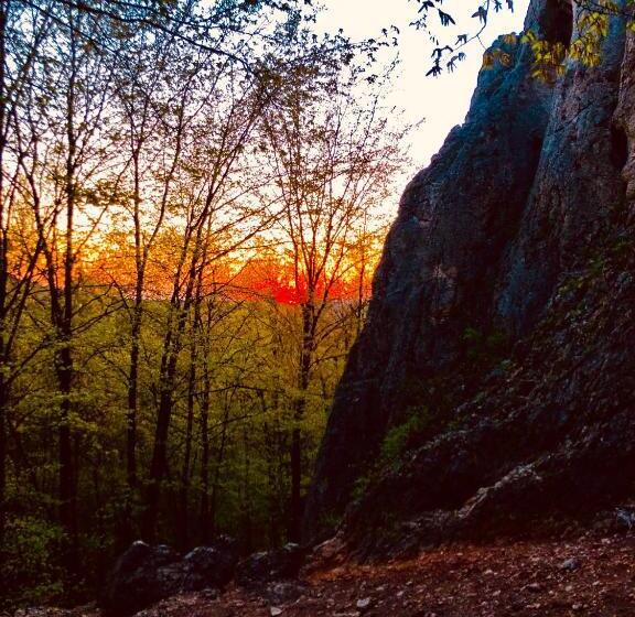 酒店 Agroturystyka Stokrotka