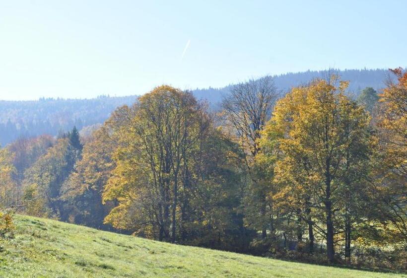 Отель Czarnotka