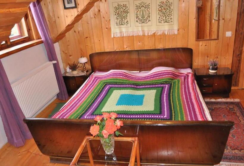 Отель Czarnotka