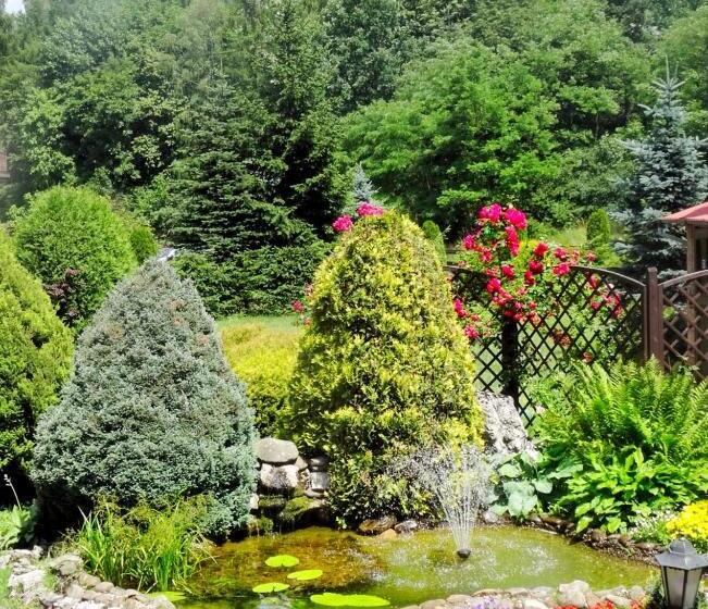 Отель Skalny Apartamenty, Pokoje