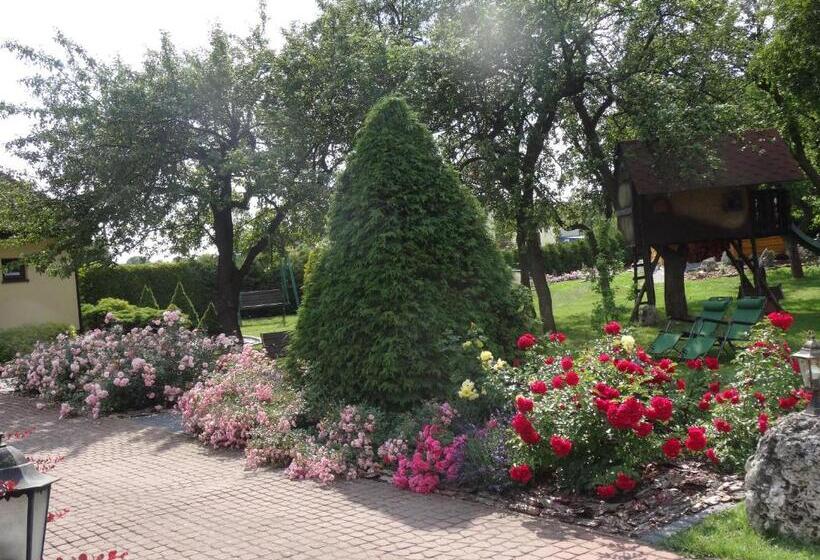 בית מלון כפרי Skalny Apartamenty, Pokoje