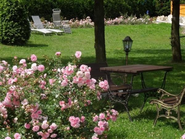 Отель Skalny Apartamenty, Pokoje