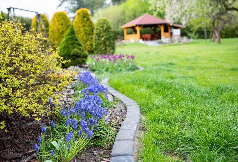 Отель Skalny Apartamenty, Pokoje