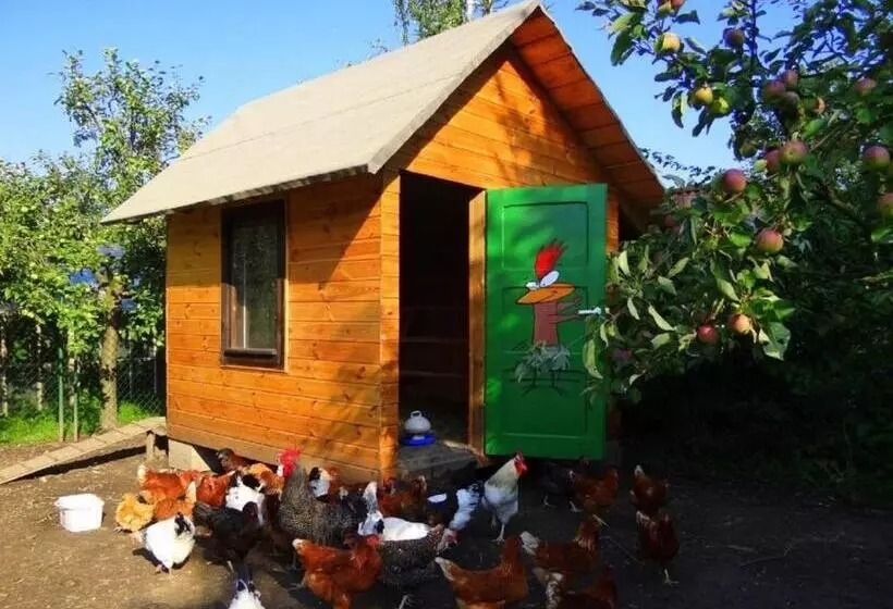 Majatalo Apartamenty I Pokoje Aneta