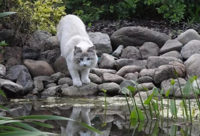 Majatalo Apartamenty I Pokoje Aneta