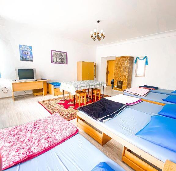 Schronisko Młodzieżowe Ptsm Alko