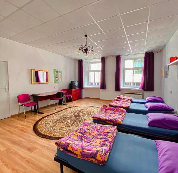 Schronisko Młodzieżowe Ptsm Alko