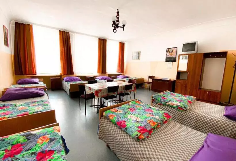 Schronisko Młodzieżowe Ptsm Alko