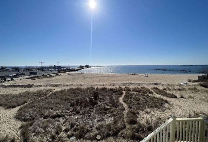 تختخواب و صبحانه Lotus Provincetown